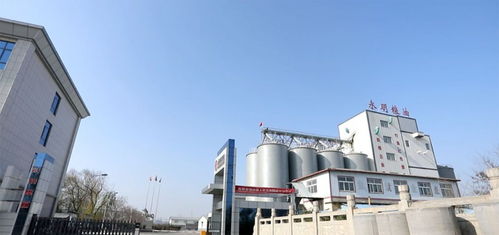 山東永明糧油擬在魯西南建設大型多功能面粉廠，助力區域農業經濟高質量發展